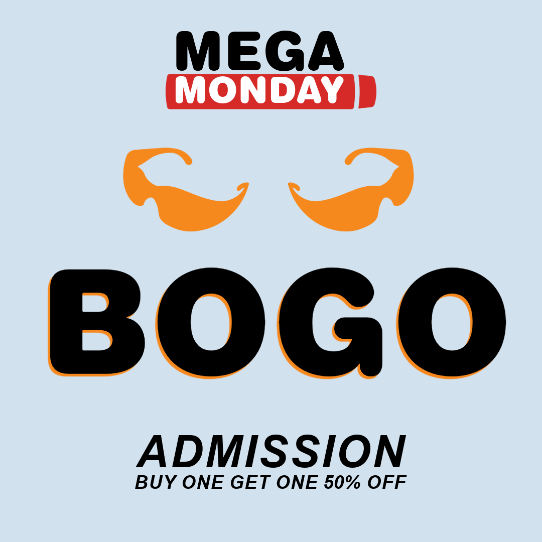 Daily Deals | Dart Haus